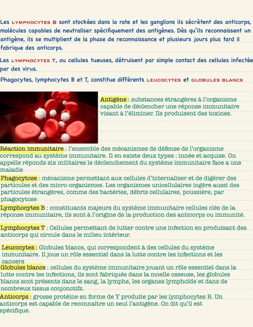 Le monde microbien
L'homme est en permanence confronté à de nombreux MICRO-ORGANISMES dont les
bactéries unicellulaires, omniprésentes dans 
