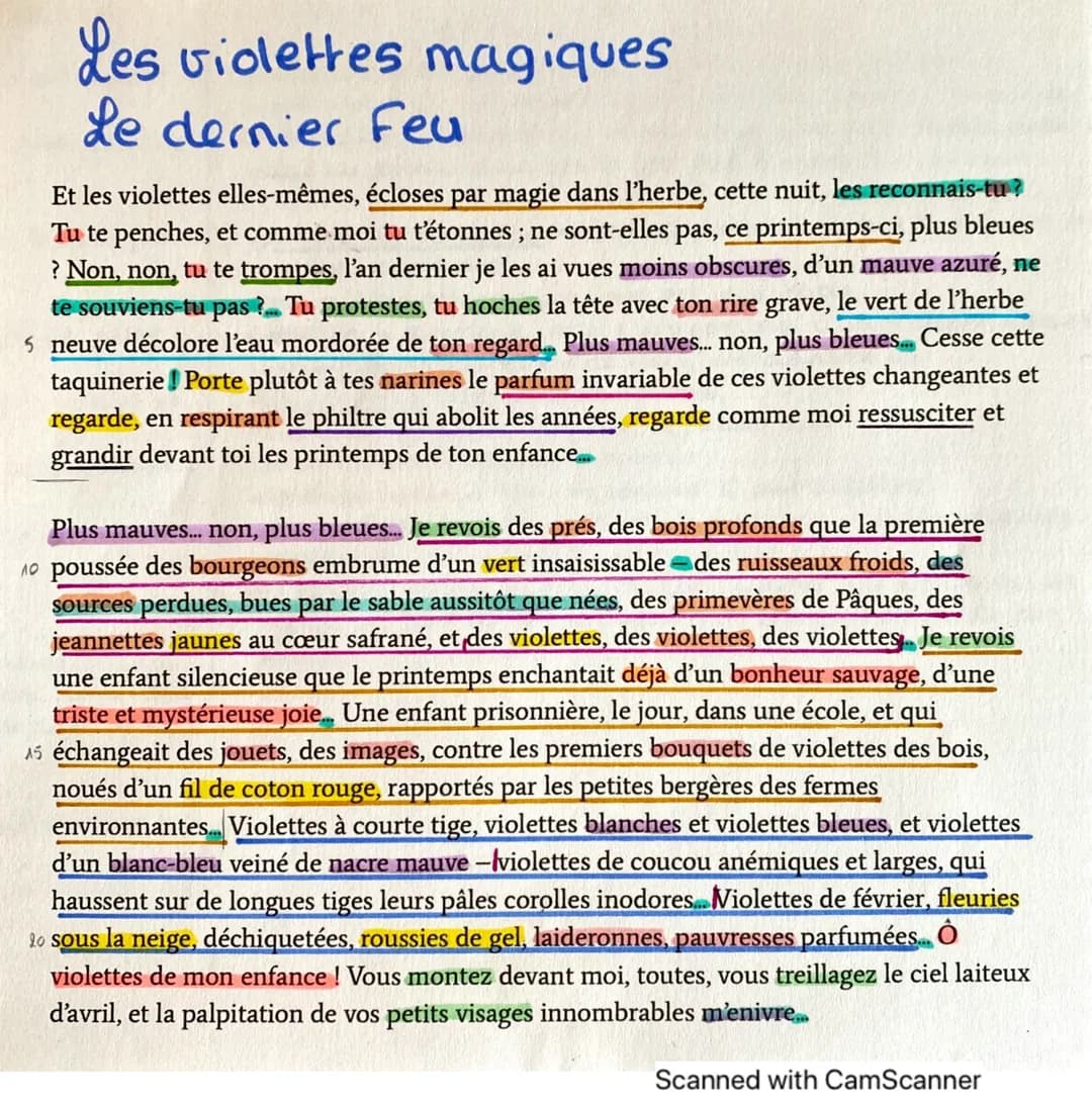 Les violettes magiques
Le dernier Feu
Et les violettes elles-mêmes, écloses par magie dans l'herbe, cette nuit, les reconnais-tu ?
Tu te pen