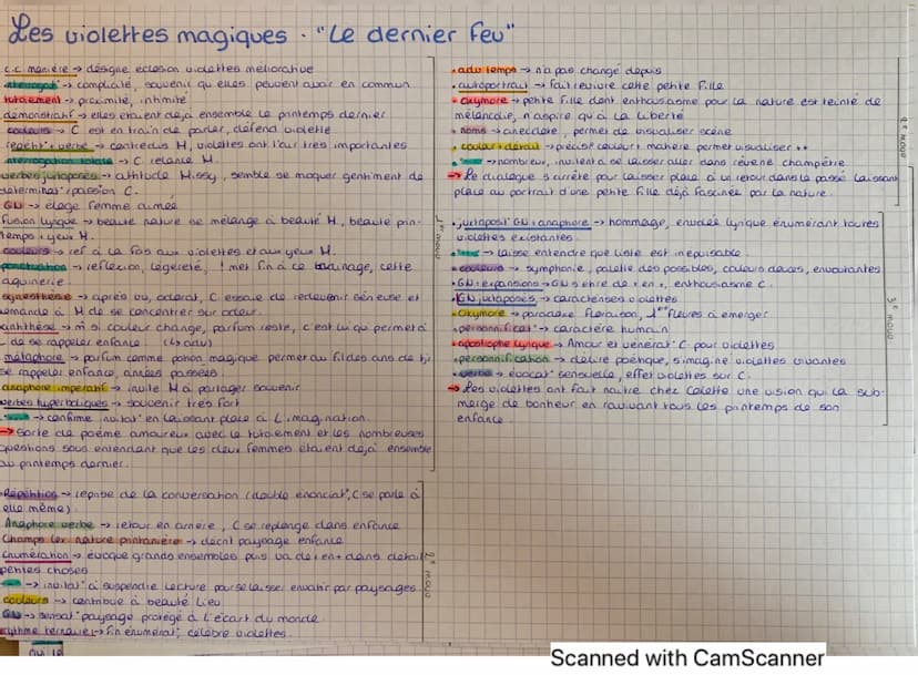 Les violettes magiques
Le dernier Feu
Et les violettes elles-mêmes, écloses par magie dans l'herbe, cette nuit, les reconnais-tu ?
Tu te pen