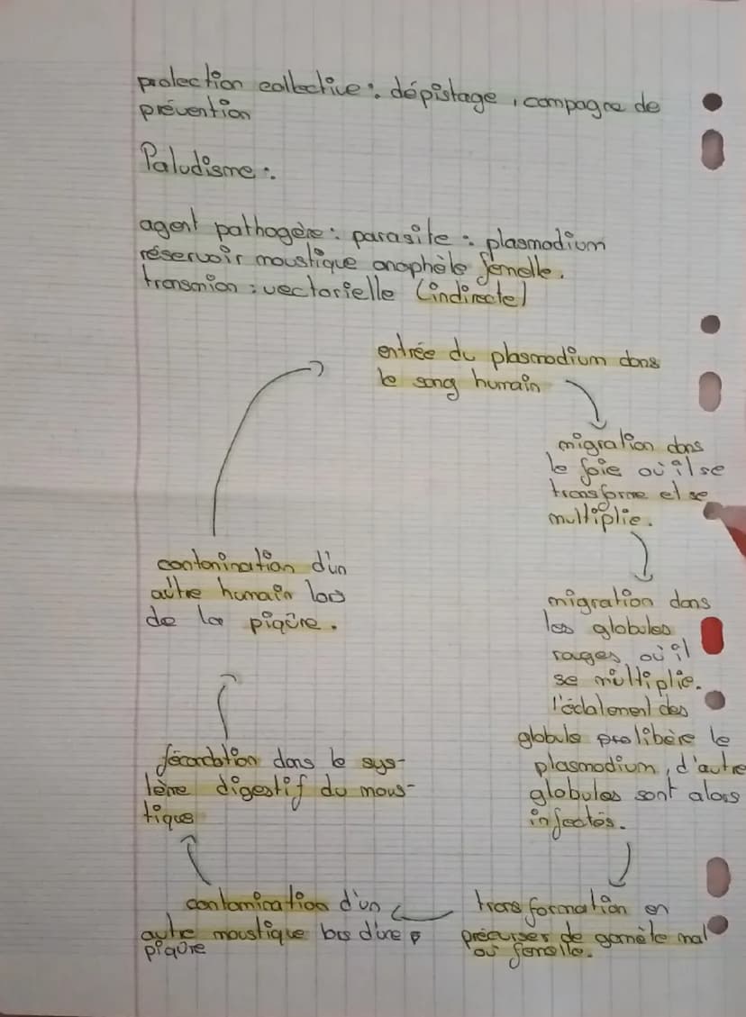 S.V.T
Agents pathogares et maladies vectorielles
Paludisme SIDA:
agent pathogere il s'agit d'un organisme pouvent
maladie (virus, bacterie, 