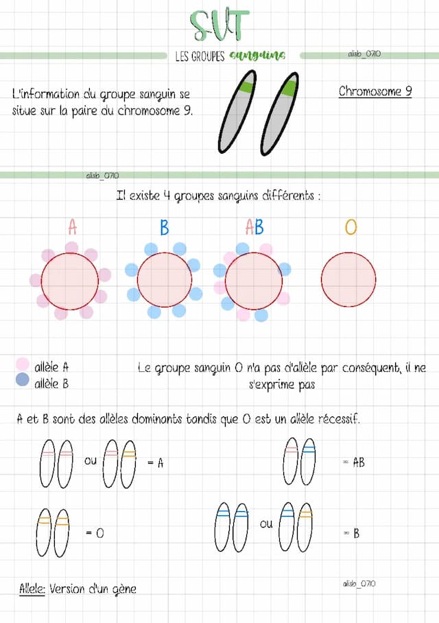 Know SVT : les groupes sanguins thumbnail