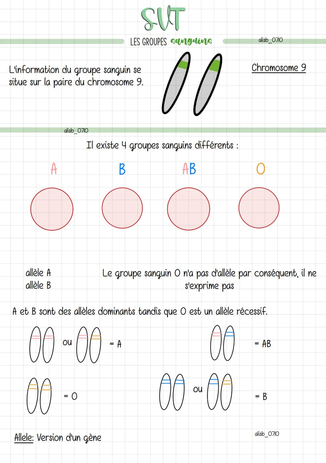 L'information du groupe sanguin se
situe sur la paire du chromosome 9.
alisb 0710
A
O
allèle A
allèle B
SUT
LES GROUPES sanguing
Il existe 4