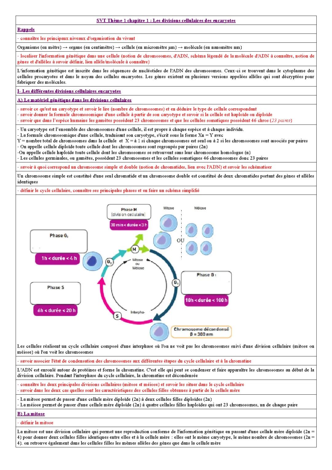 Exercice Corrigé PDF sur la Division Cellulaire : Mitose Méiose et Les 4 Phases