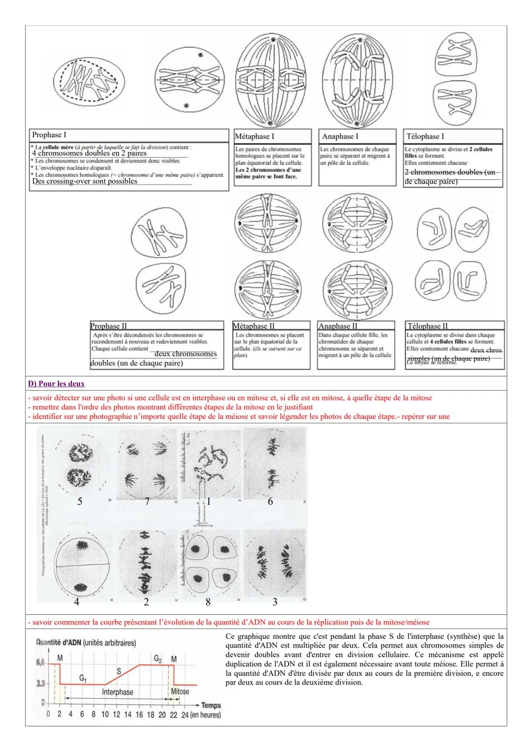 Rappels
- connaître les principaux niveaux d'organisation du vivant
Organisme (en mètre) → organe (en centimètre) → cellule (en micromètre u