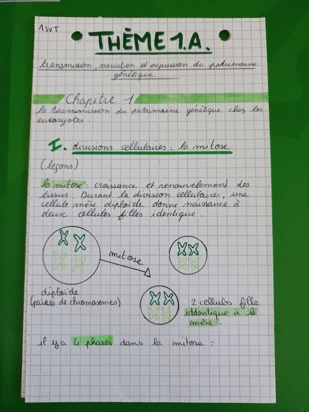 -D phase M - étape de division de la cellule
les chromosomes ne possèdent plus que 1
seule chromatide
-M (mitore): division cellulare (retou