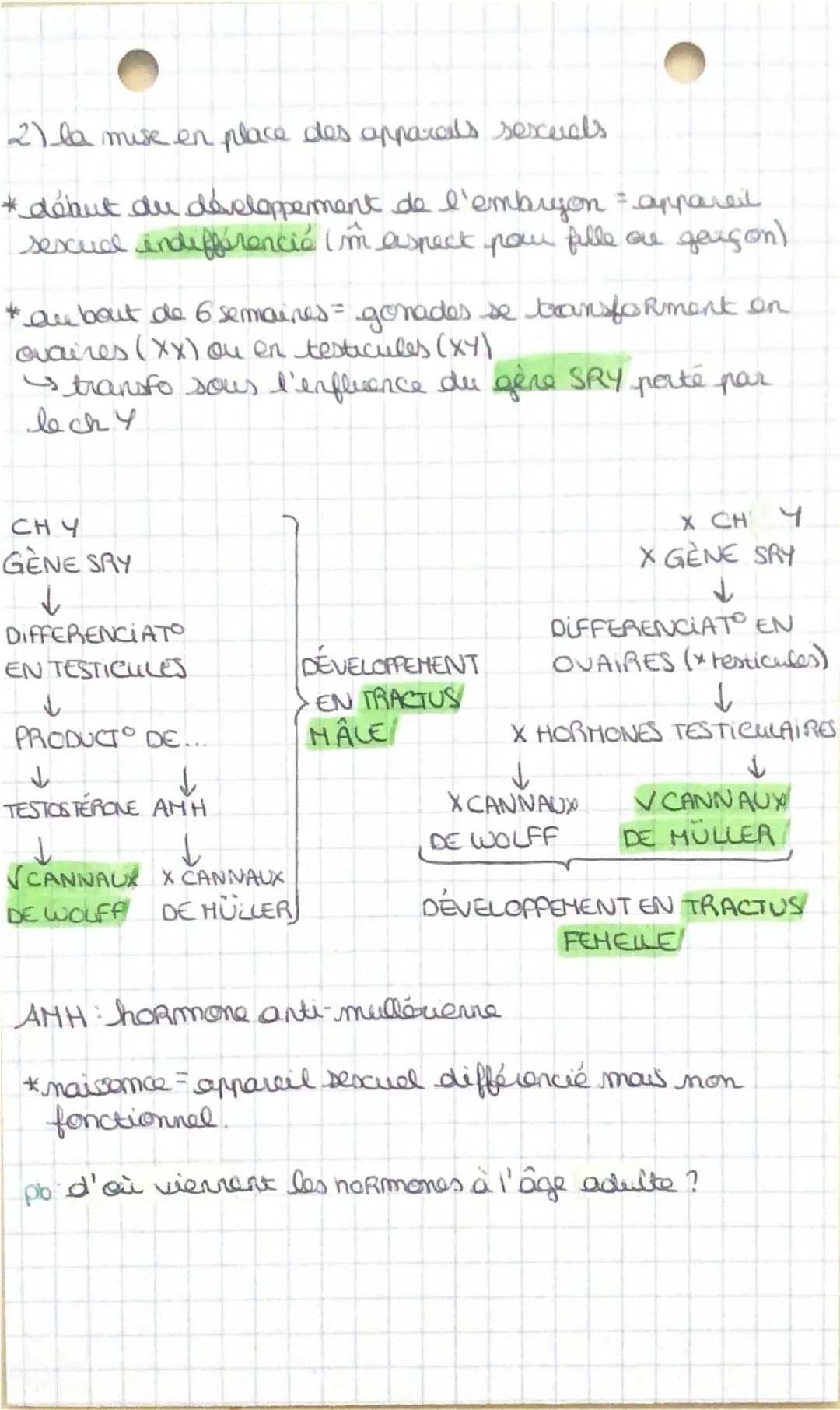--- OCR Start ---
SVT: preciéation
et sesxialité heumaine
pb: comment se détermine l'identité sescualla?
I- de la fécondation à la puberta
1
