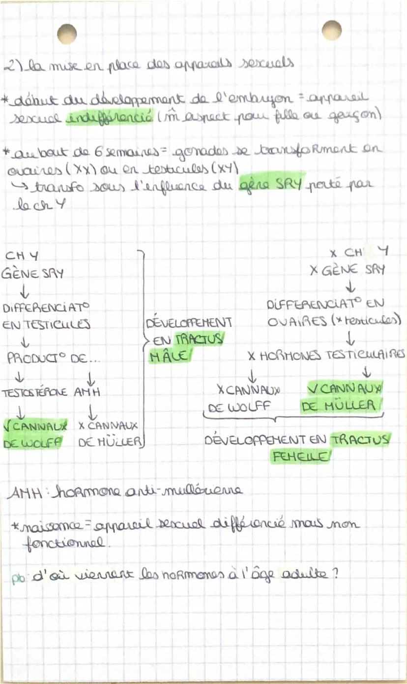 --- OCR Start ---
SVT: preciéation
et sesxialité heumaine
pb: comment se détermine l'identité sescualla?
I- de la fécondation à la puberta
1