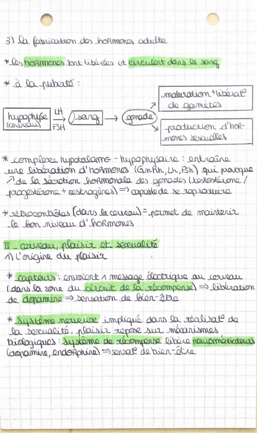 --- OCR Start ---
SVT: preciéation
et sesxialité heumaine
pb: comment se détermine l'identité sescualla?
I- de la fécondation à la puberta
1