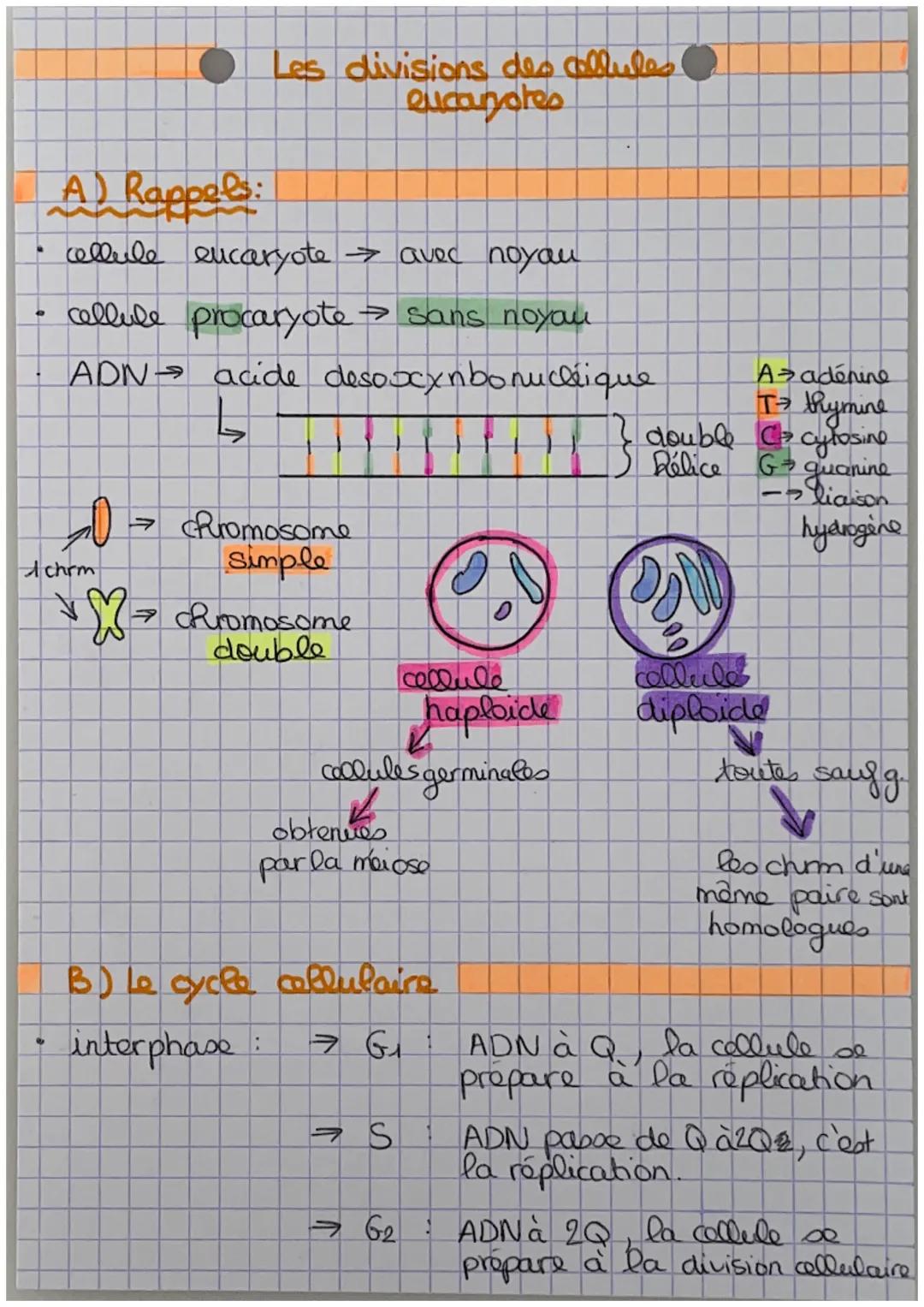 a
9
O Les divisions des cellules!
eucanotes
A) Rappels:
cellule encaryote > avec noyau
cellule procaryote → sans noyou
ADN
1 chrm
acide deso