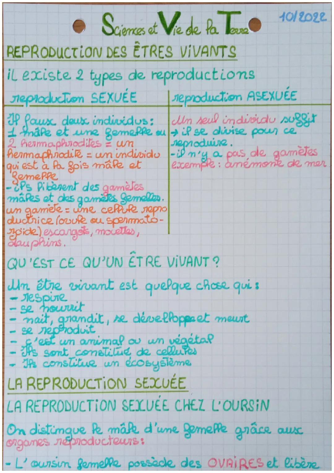 Découvre la Reproduction : Animaux, Plantes et Oursins pour les 5ème