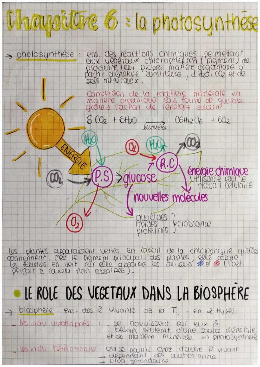 Chapitre 6 la photosynthèse
→ photosynthese: ens. des reactions chimiques permettant
aux vegetaux chloropriejien (pigment) de
produire leur 