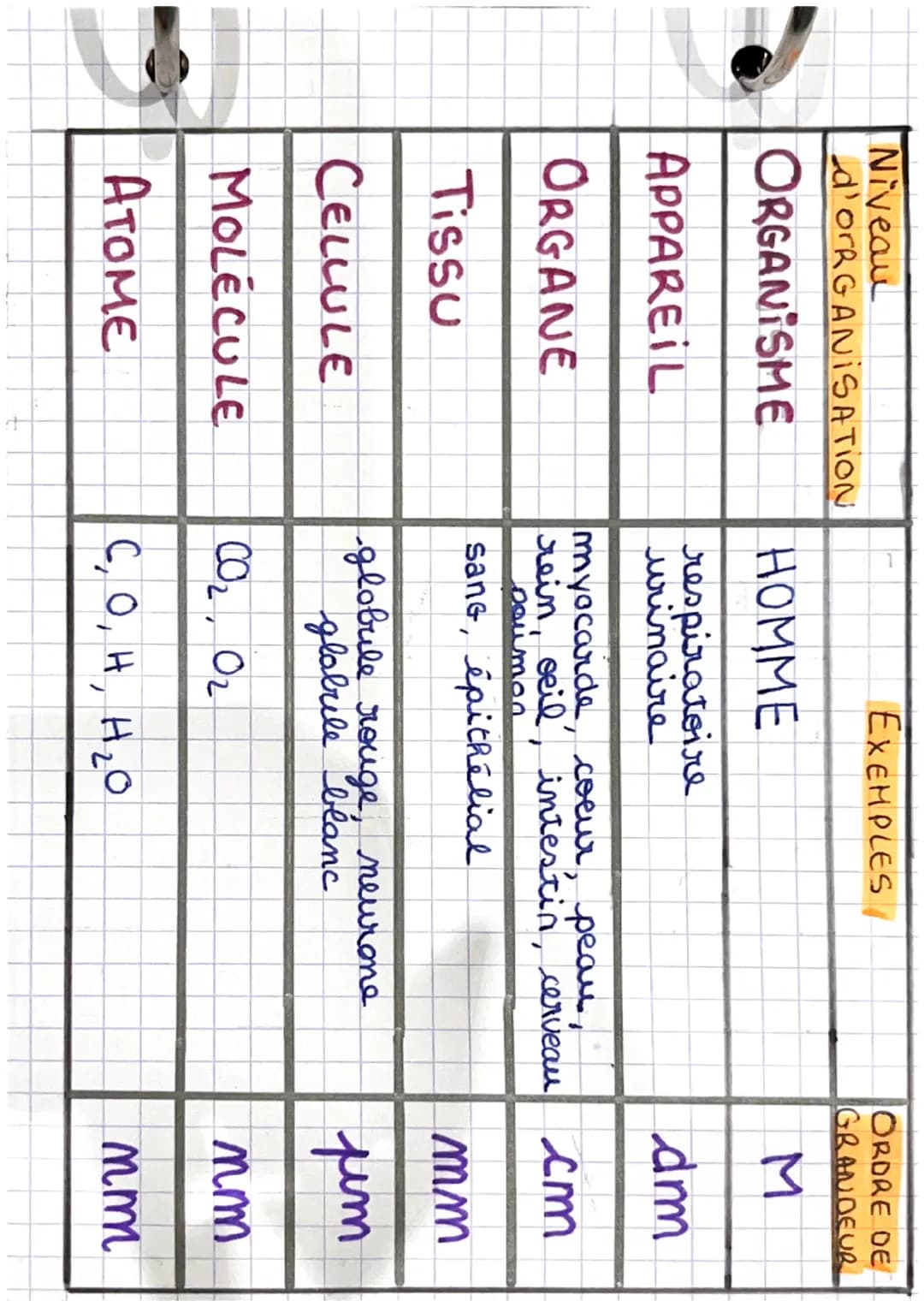 • BIOLOGIE.
NiveAU D'ORGANISATION DEFINITIONS
Niveau
ORGANISME complexe, constitué d'une
association d'appareils qui
travaillent ensemble
AP