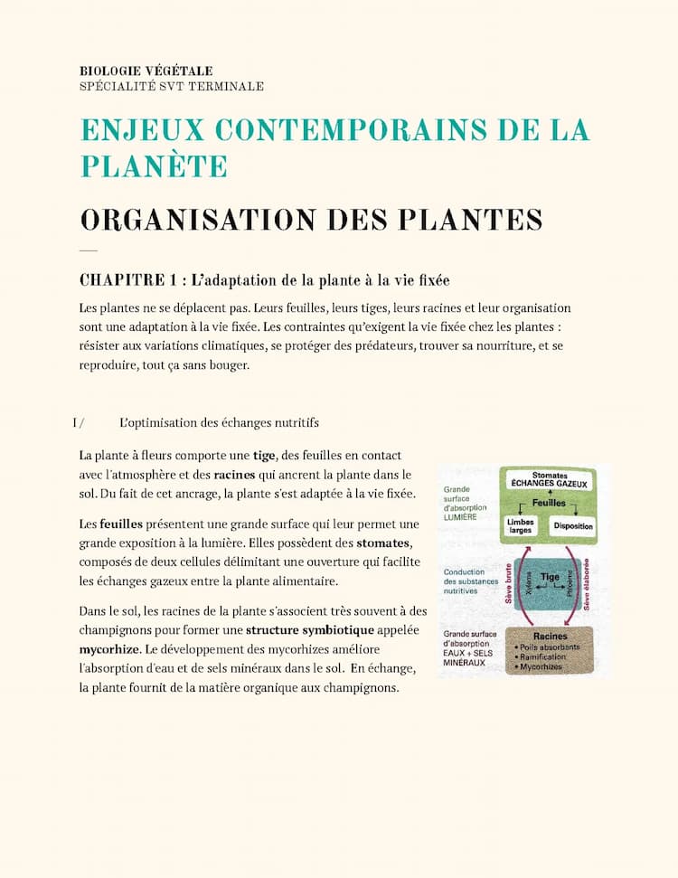 Know Biologie Végétale  thumbnail