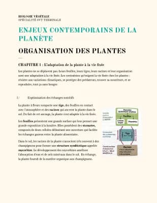 Know Biologie Végétale  thumbnail