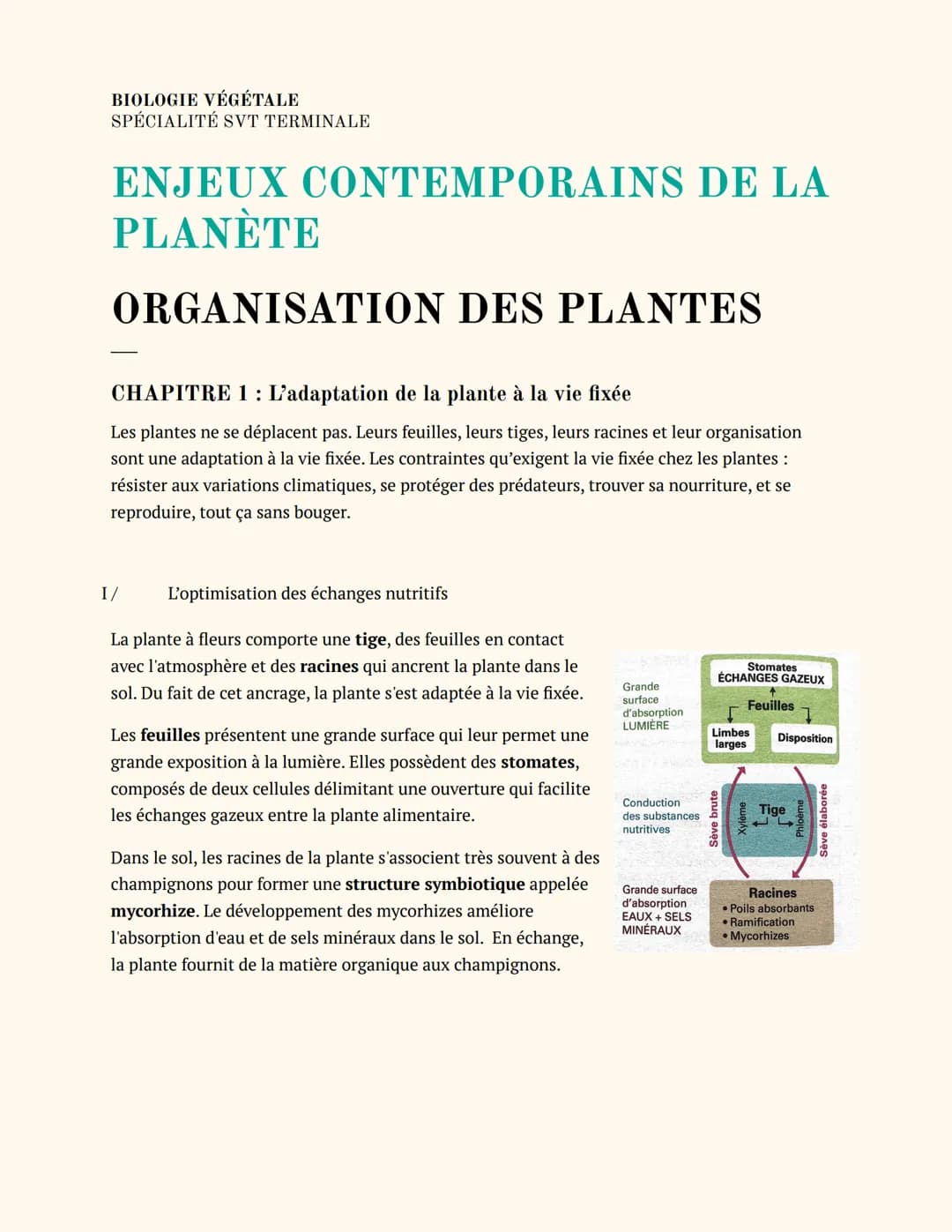 BIOLOGIE VÉGÉTALE
SPÉCIALITÉ SVT TERMINALE
ENJEUX CONTEMPORAINS DE LA
PLANÈTE
ORGANISATION DES PLANTES
CHAPITRE 1: L'adaptation de la plante