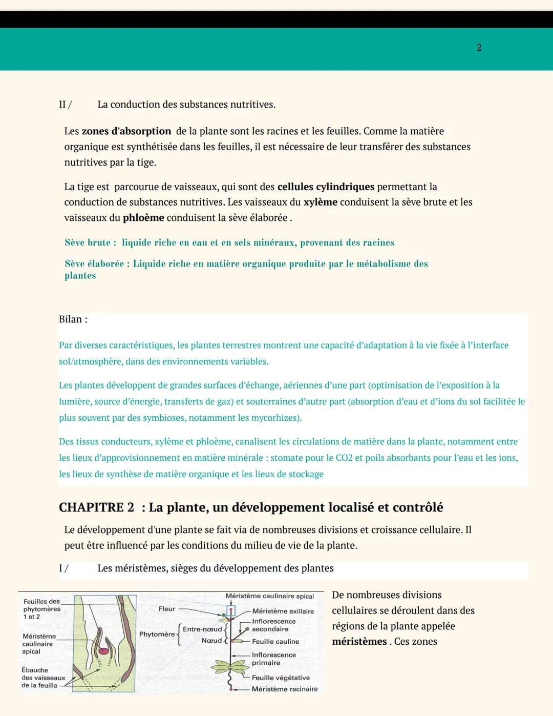 BIOLOGIE VÉGÉTALE
SPÉCIALITÉ SVT TERMINALE
ENJEUX CONTEMPORAINS DE LA
PLANÈTE
ORGANISATION DES PLANTES
CHAPITRE 1: L'adaptation de la plante