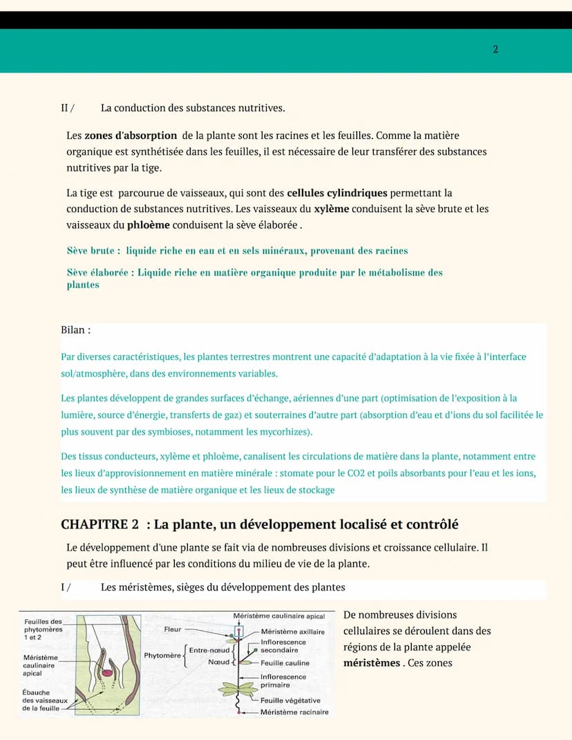 BIOLOGIE VÉGÉTALE
SPÉCIALITÉ SVT TERMINALE
ENJEUX CONTEMPORAINS DE LA
PLANÈTE
ORGANISATION DES PLANTES
CHAPITRE 1: L'adaptation de la plante