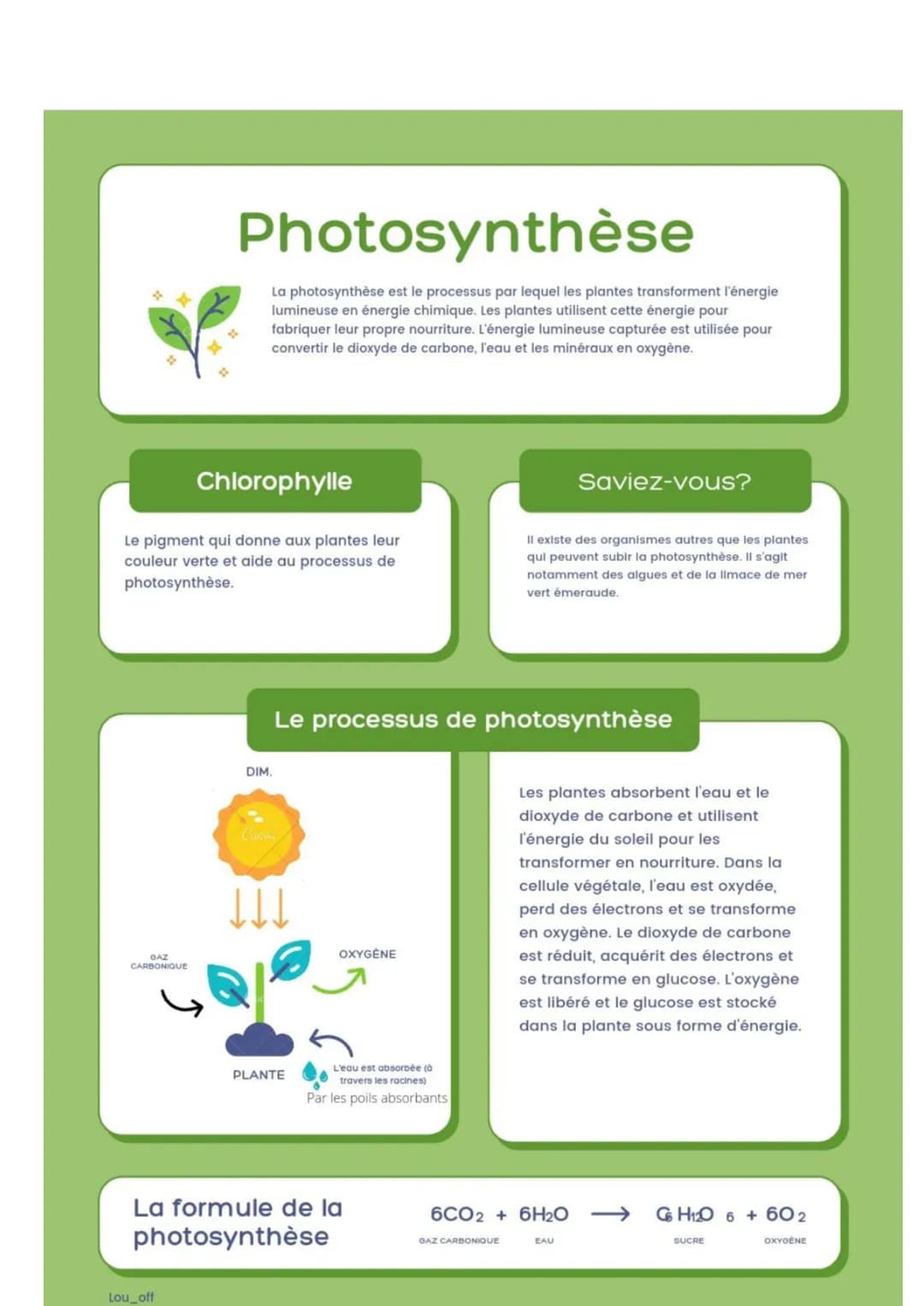 Chlorophylle
Le pigment qui donne aux plantes leur
couleur verte et aide au processus de
photosynthèse.
GAZ
CARBONIQUE
Photosynthèse
La phot