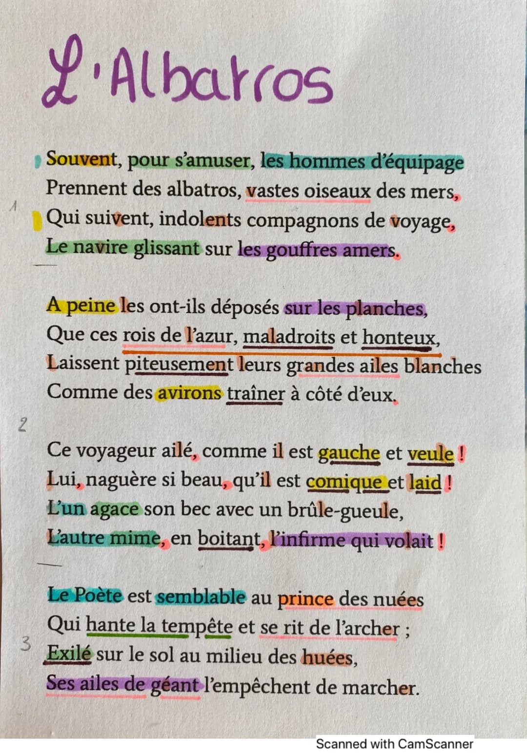 L’albatros Baudelaire 