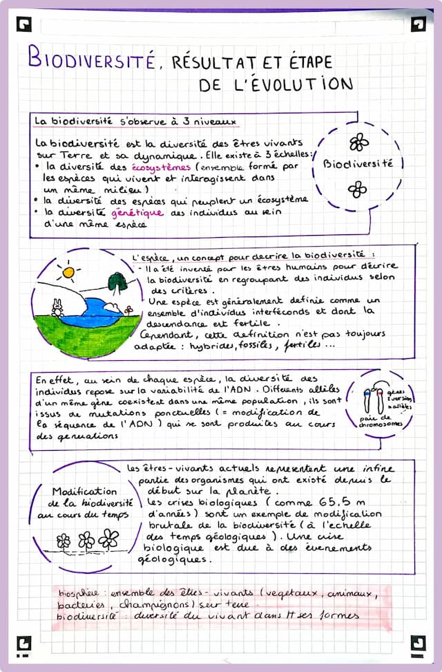 Know Biodiversité, résultat Et étapes de l’évolution thumbnail
