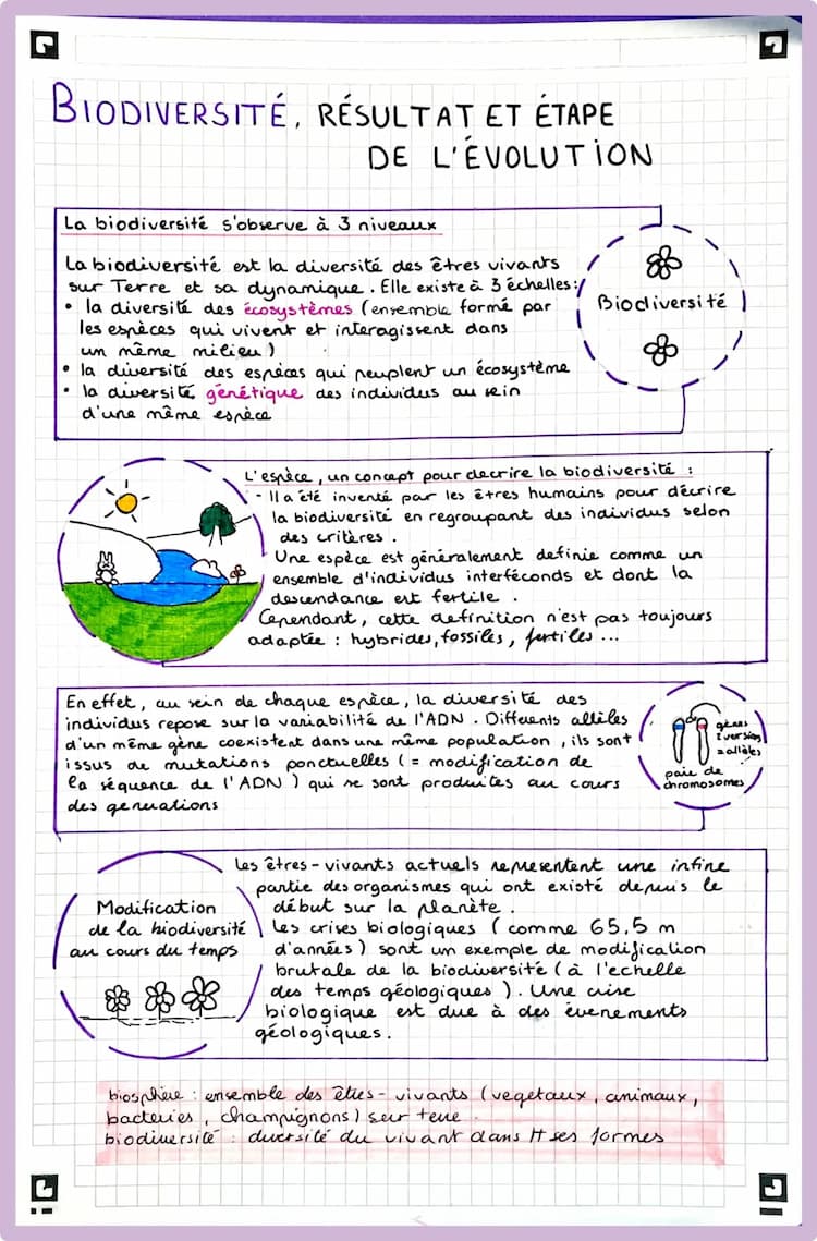 Know Biodiversité, résultat Et étapes de l’évolution thumbnail