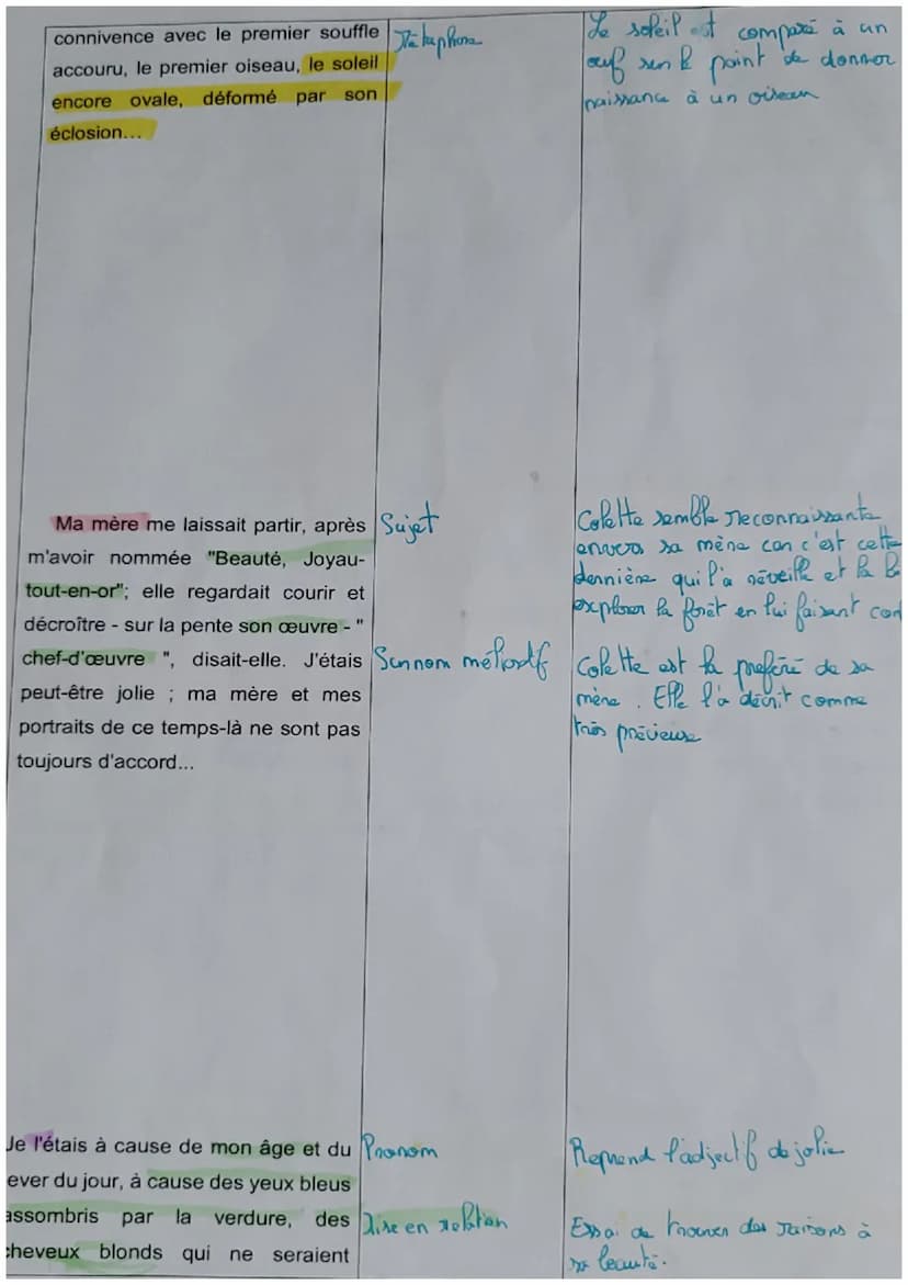 LL1: Colette, Sido, « A trois heures et demie... >>
Introduction: Au XXS l'autobiographie prend son essort et Coffette s'inscrit dans ce sou