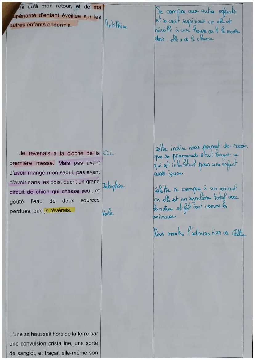 LL1: Colette, Sido, « A trois heures et demie... >>
Introduction: Au XXS l'autobiographie prend son essort et Coffette s'inscrit dans ce sou