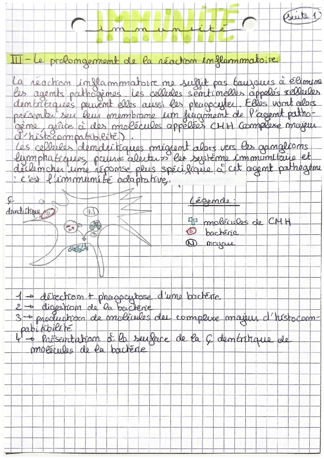 C
m
CHAP 1: L'immumite immée

Les organismes vivants sont confrontés à de multiples danger
+ micro-orgamismes pathogemes (bactéries, vinus, 