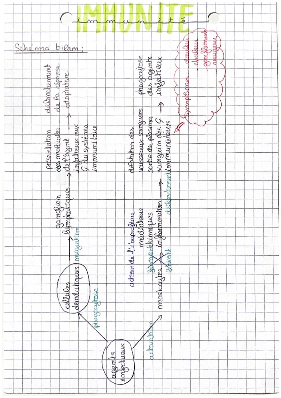 C
m
CHAP 1: L'immumite immée

Les organismes vivants sont confrontés à de multiples danger
+ micro-orgamismes pathogemes (bactéries, vinus, 