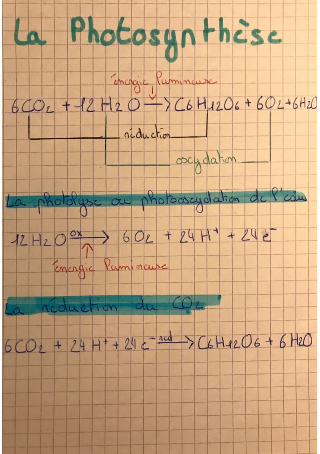 La photosynthèse une réaction d'oxydo réduction