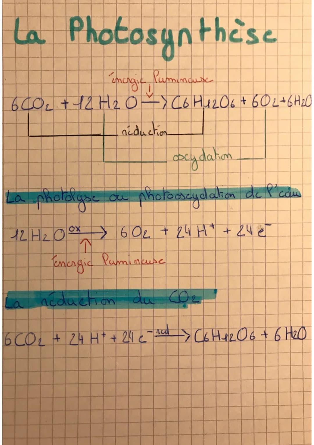 La Photosynthèse
émergic lumineuse
6CO₂ + 12 H₂O -> (6 H4206 + 602 + 6H₂O
reduction
oxydation
photo oscydation de l'edu
La photolgse
12 H ₂0
