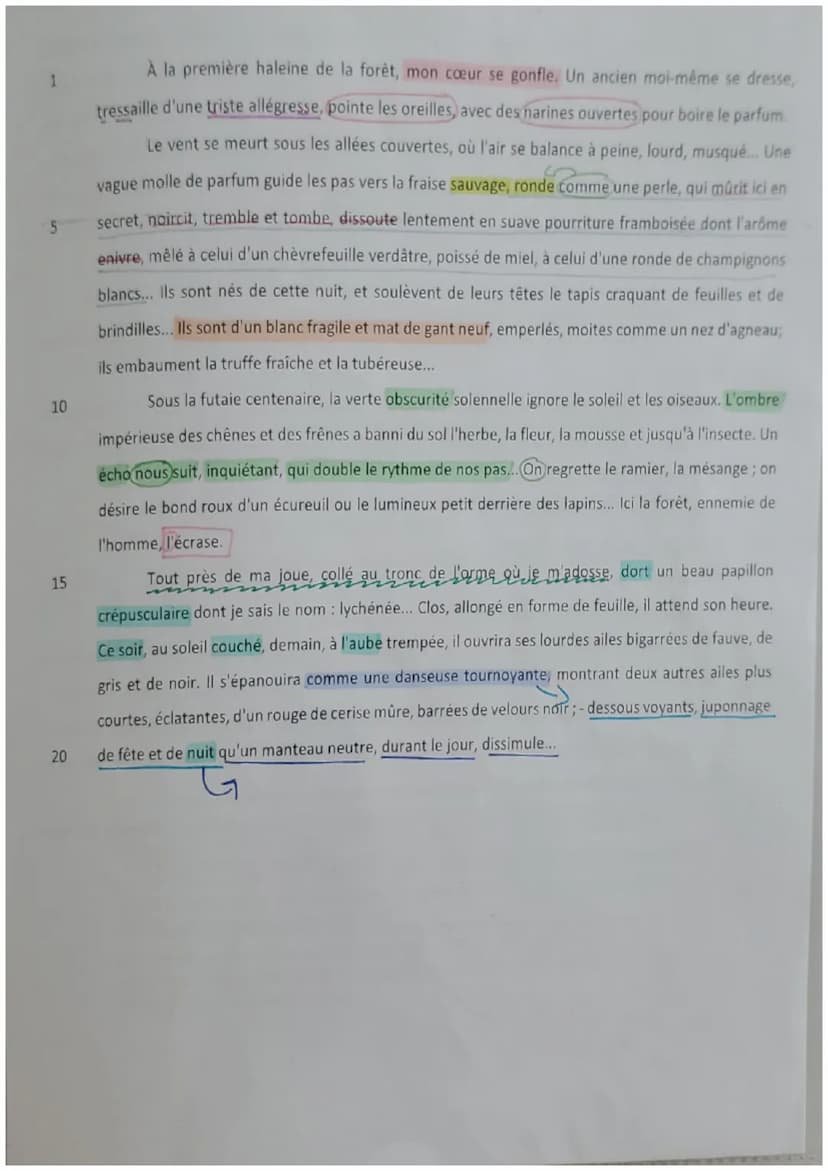 sida
Texte 2
Introduction
Le texte étudié aujourd'hui est un extrait du livre SIDO du recueil « les vrilles de la Vigne »
dans la nouvelle <