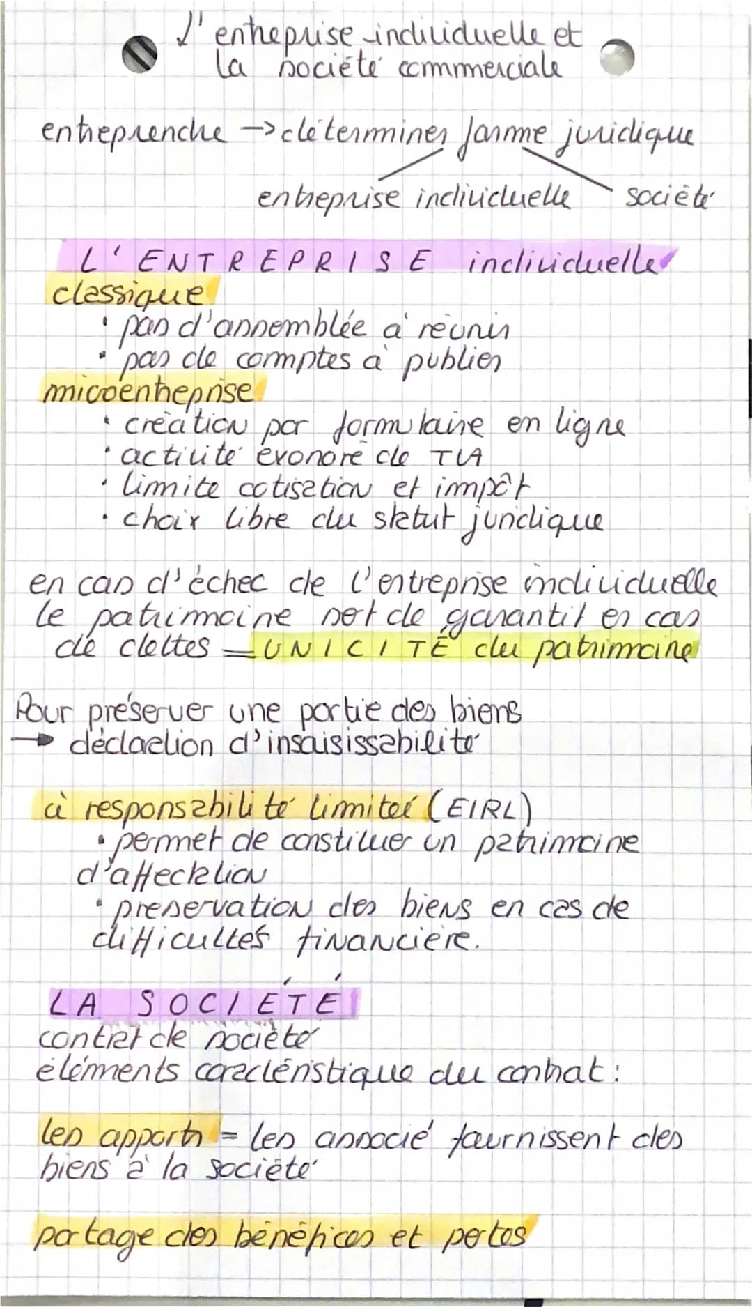 L’entreprise individuelle et la société commerciale (droit terminal)