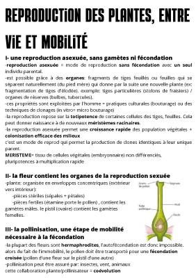 Know reproduction des plantes, entre vie et mobilité  thumbnail