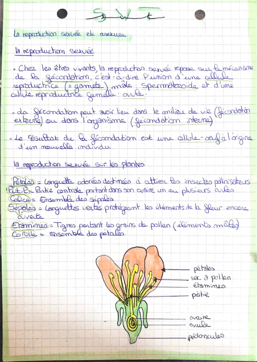 La reproduction sexuée et asexuée des plantes