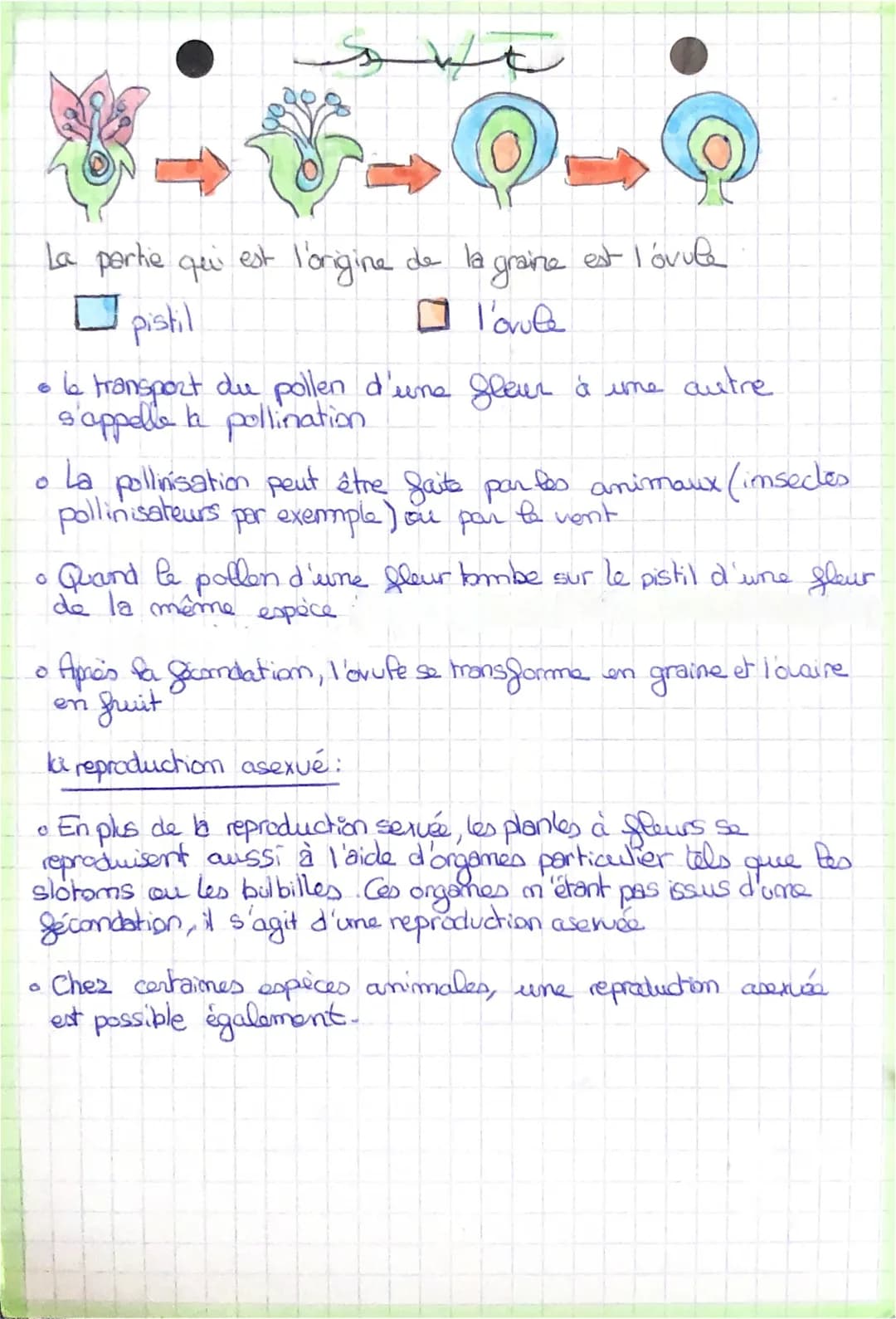 سعدك
La reproduction sexvée et asexuee
la reproduction sexuée.
Chez les êtres vivants, la reproduction sexuée repose sur le mécanisme
de la 