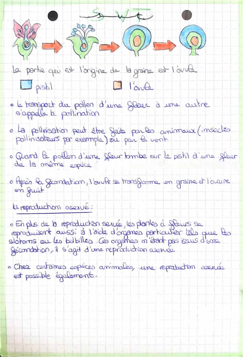 سعدك
La reproduction sexvée et asexuee
la reproduction sexuée.
Chez les êtres vivants, la reproduction sexuée repose sur le mécanisme
de la 