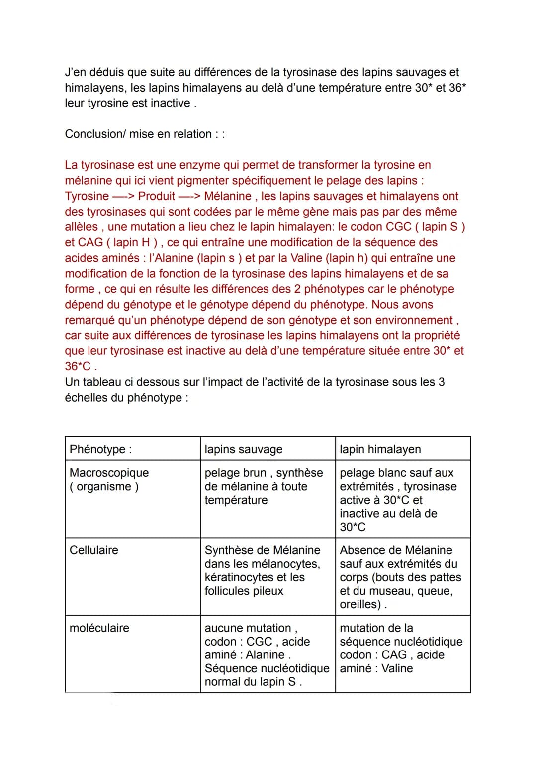 Nous pouvons voir que les lapins peuvent avoir plusieurs différentes couleurs
de pelage, chez le lapin sauvage : le pelage est brun, chez l'