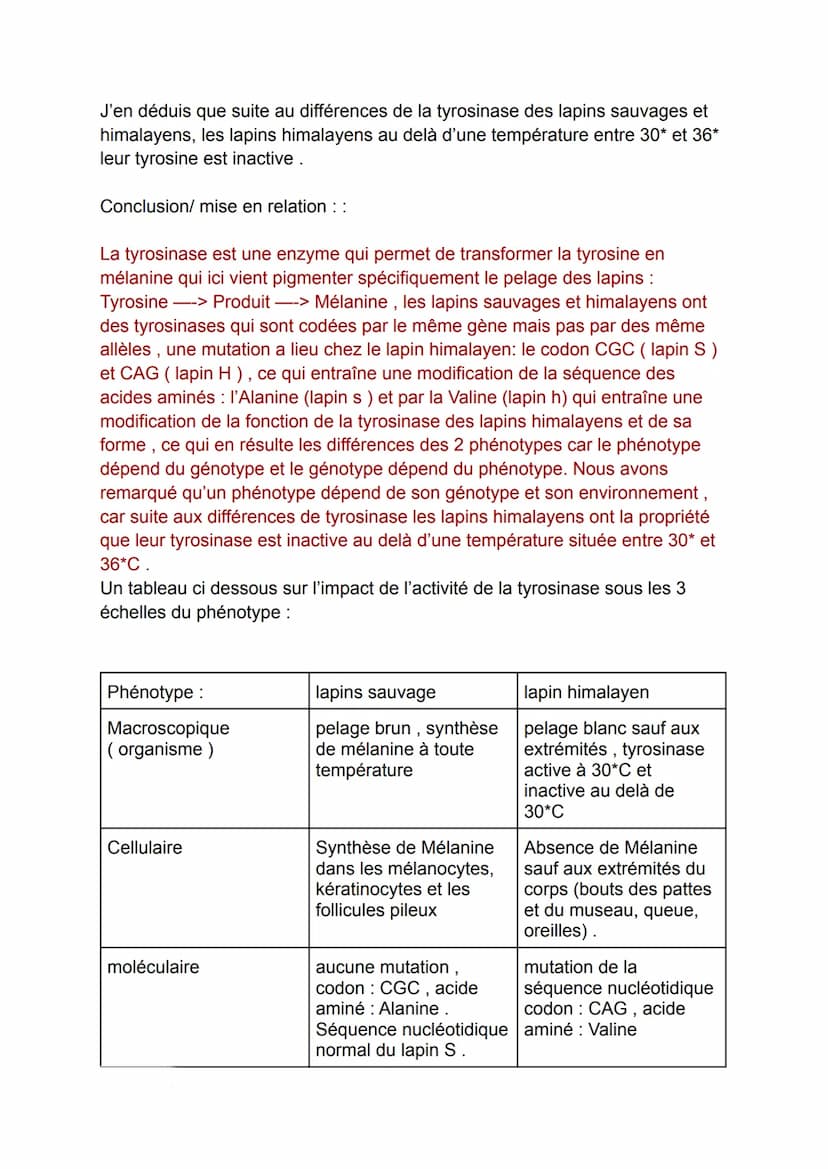 Nous pouvons voir que les lapins peuvent avoir plusieurs différentes couleurs
de pelage, chez le lapin sauvage : le pelage est brun, chez l'