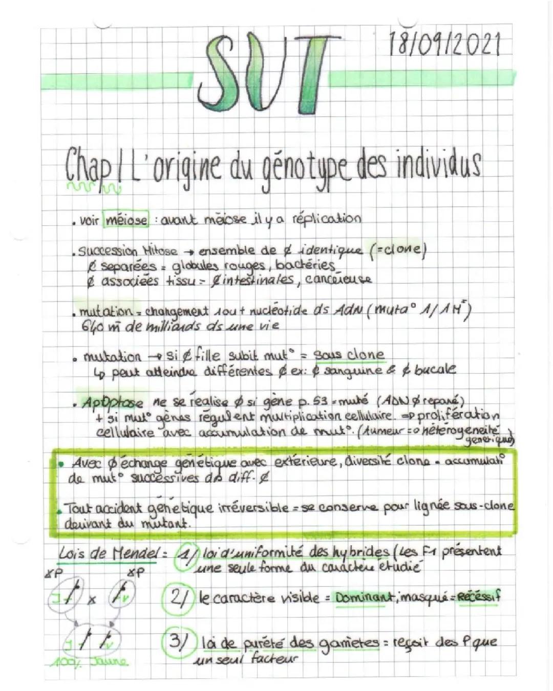 SVT l’origine du génotype des individus 