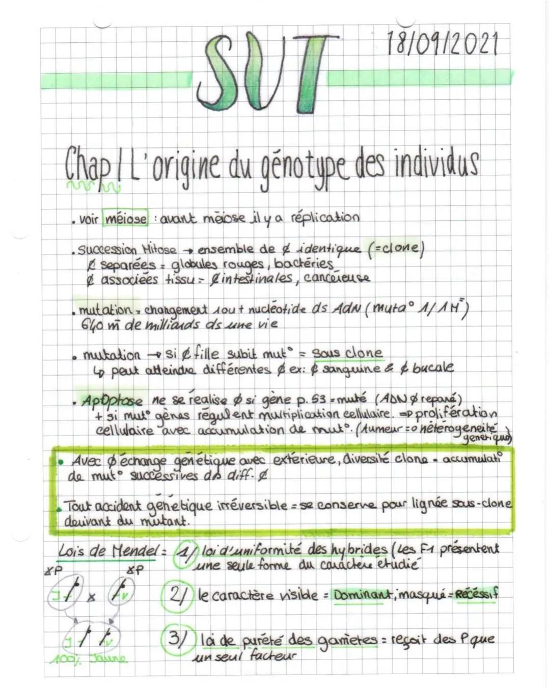 SUT
Chap I L'origine du génotype des individus
•voir méiose : avant meiose il y a réplication
•Succession Mitose → ensemble de & identique (