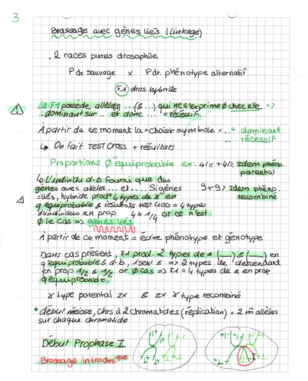 SUT
Chap I L'origine du génotype des individus
•voir méiose : avant meiose il y a réplication
•Succession Mitose → ensemble de & identique (
