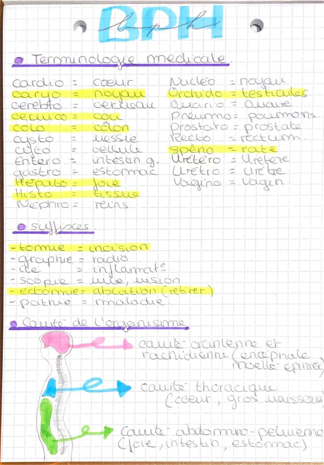 Découvre la Terminologie Médicale: Tableaux et Exemples Faciles!