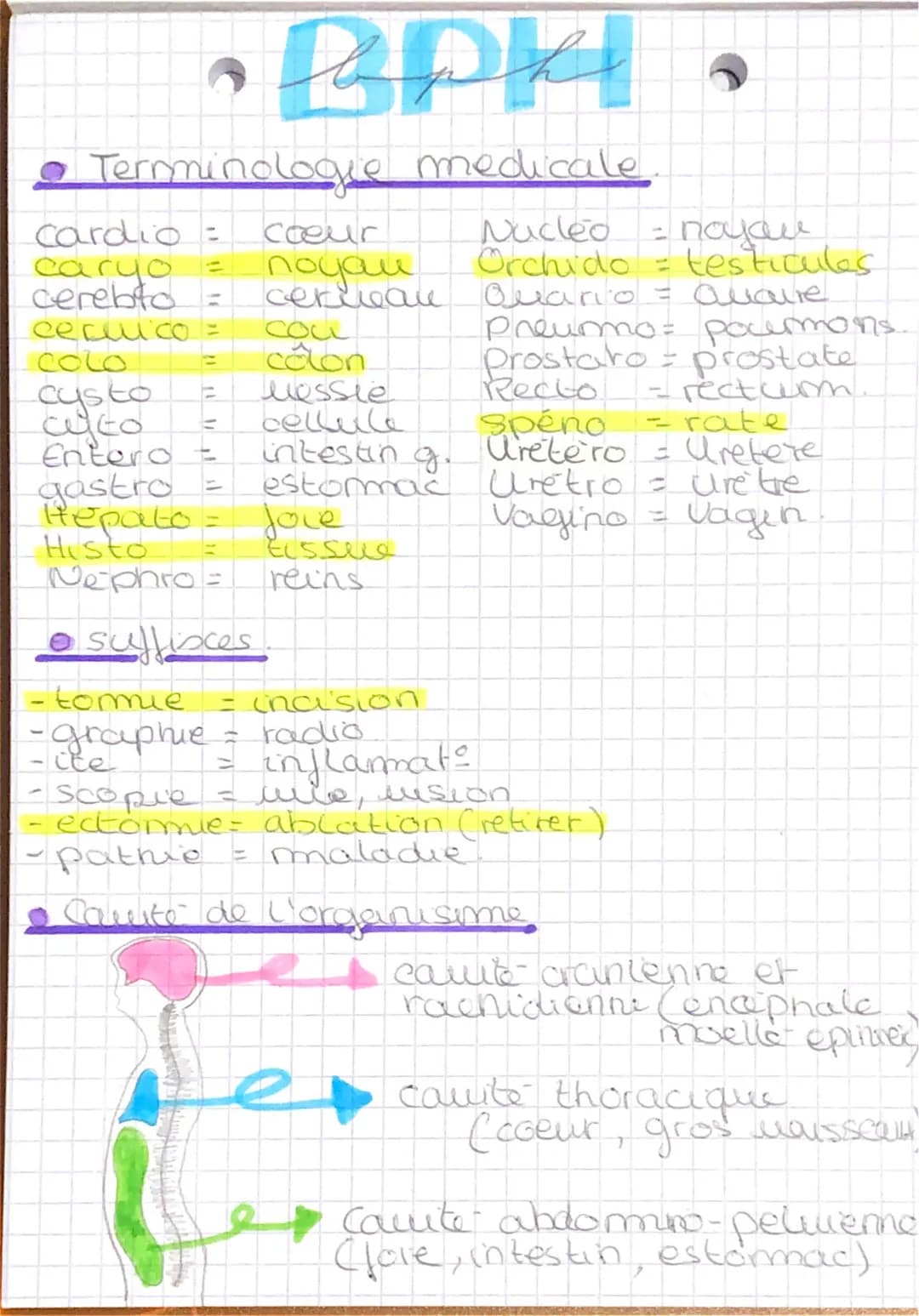 BPK
• Terminologie medicale
Nucleo
noyou
Orchido = testicules
Quario
= Quaire
cardio=
caryo
cerebto=
coeur
noyou
ceriau
COLL
colon
ceruico =