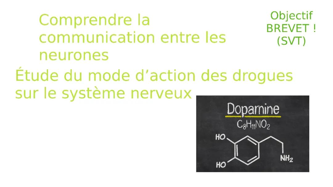 Objectif BREVET sur l'étude du mode d'action des drogues sur le systéme nerveux