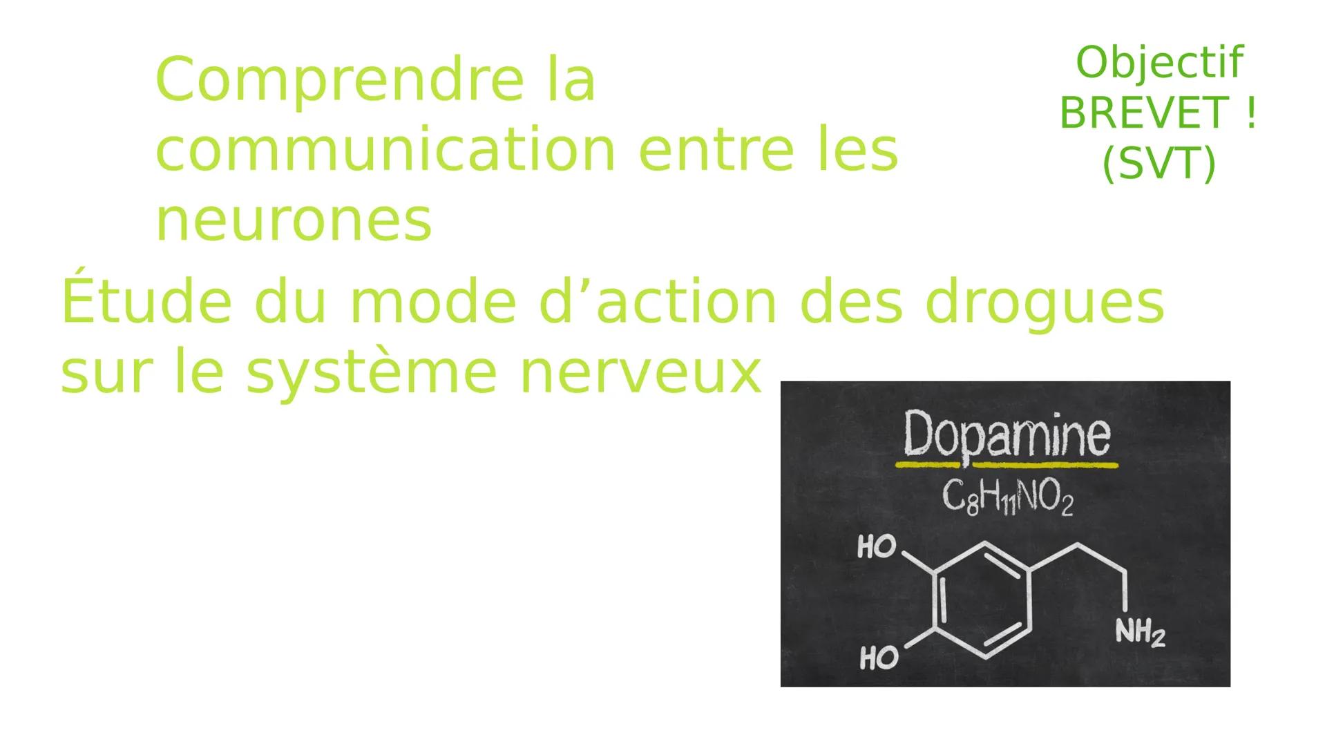 Comprendre la
communication entre les
neurones
Étude du mode d'action des drogues
sur le système nerveux
HO
Objectif
BREVET !
(SVT)
HO
Dopam