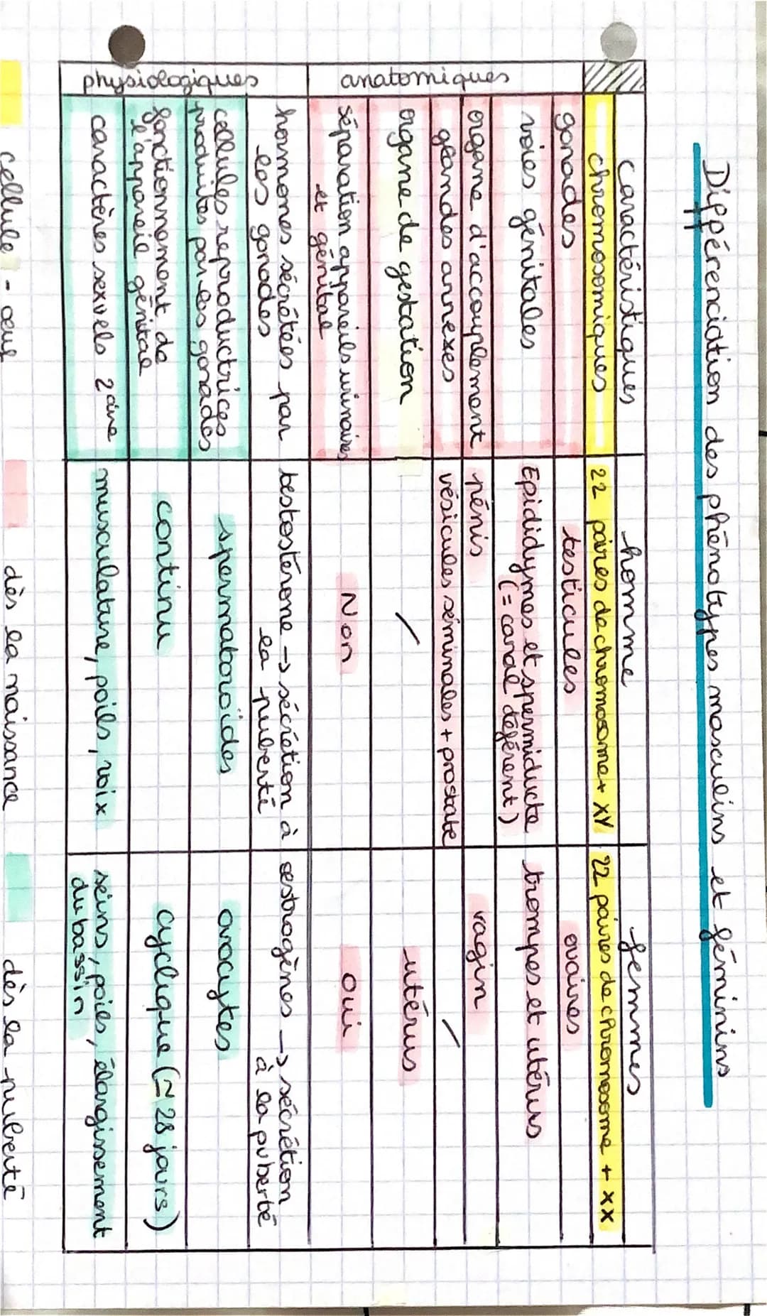 • SVT
Devenir homme au
C
sexe biologique : type d'appareil reproducteur
L3 cas possibles - Sexe masculin
→ sexe féminin
→ intersexe (pas cla