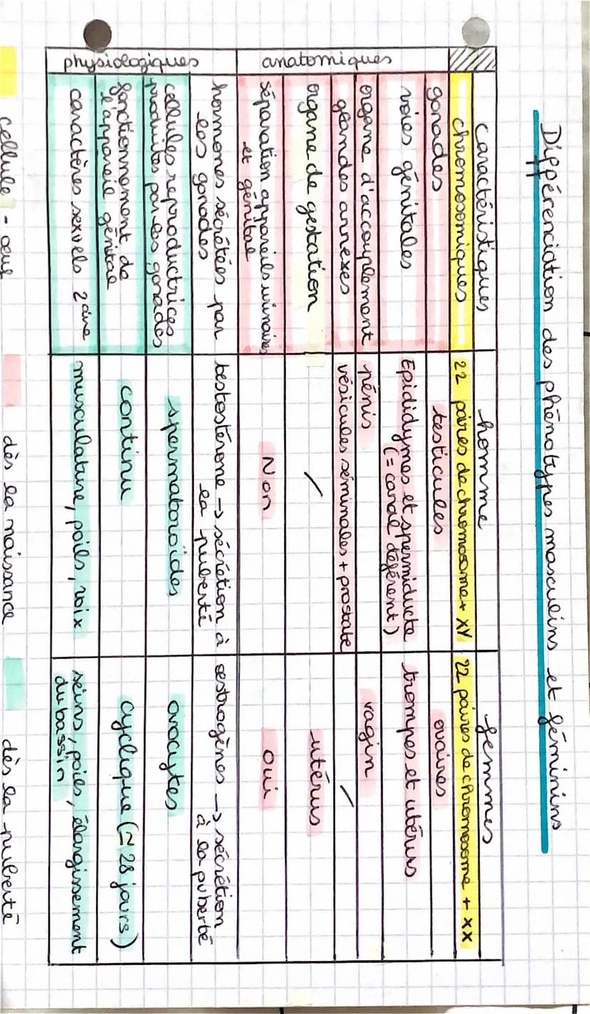 • SVT
Devenir homme au
C
sexe biologique : type d'appareil reproducteur
L3 cas possibles - Sexe masculin
→ sexe féminin
→ intersexe (pas cla