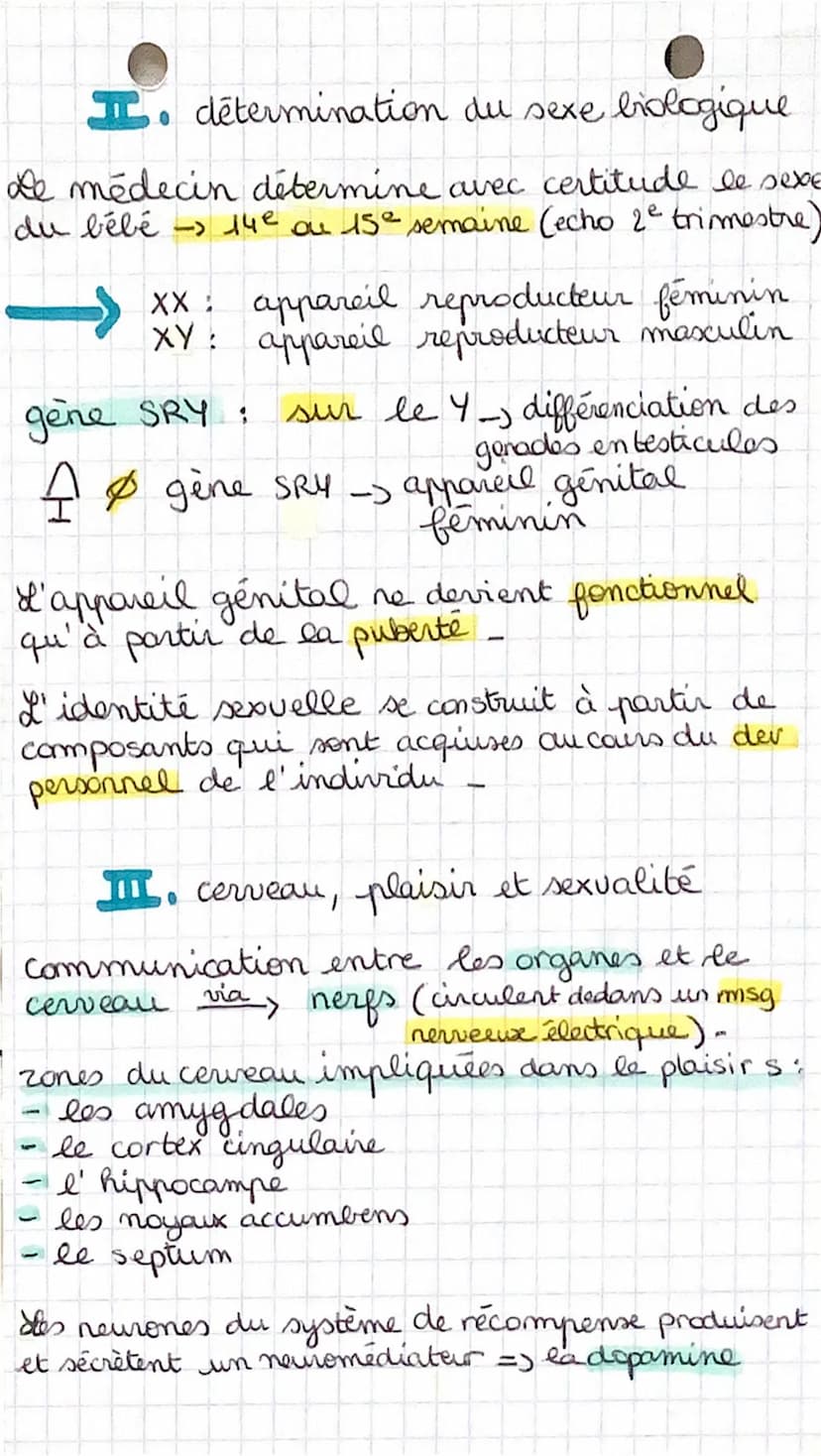 • SVT
Devenir homme au
C
sexe biologique : type d'appareil reproducteur
L3 cas possibles - Sexe masculin
→ sexe féminin
→ intersexe (pas cla
