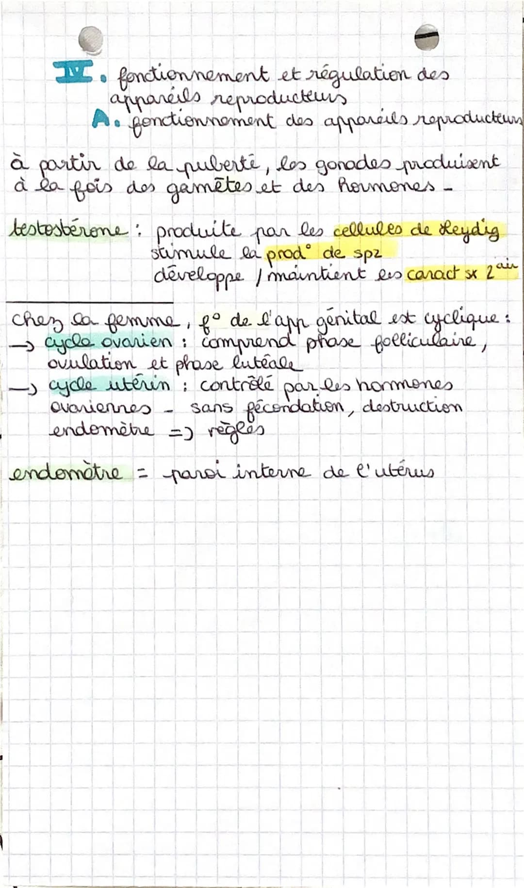 • SVT
Devenir homme au
C
sexe biologique : type d'appareil reproducteur
L3 cas possibles - Sexe masculin
→ sexe féminin
→ intersexe (pas cla
